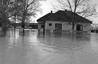 Otelec