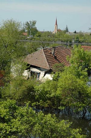 Otelec