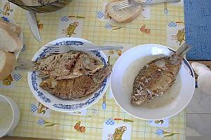 Fisch aus der Donau